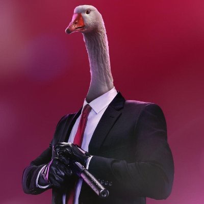goosie@infosec.exchange