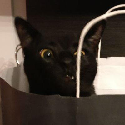 redmed666@infosec.exchange