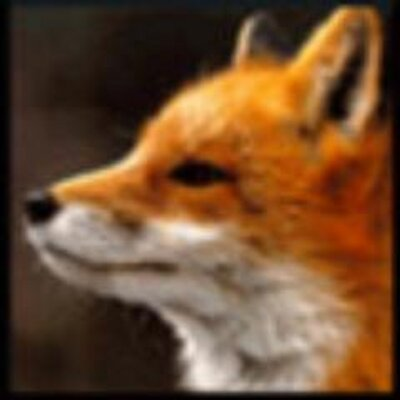 renard@equestria.social