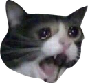 AAAAAA