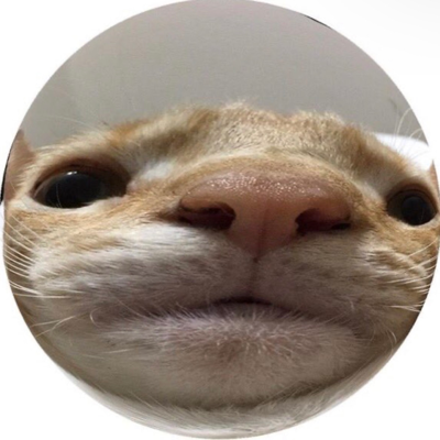 wizk@mastodon.social