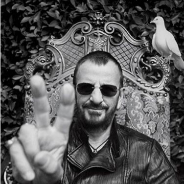 famousringo@mstdn.ca