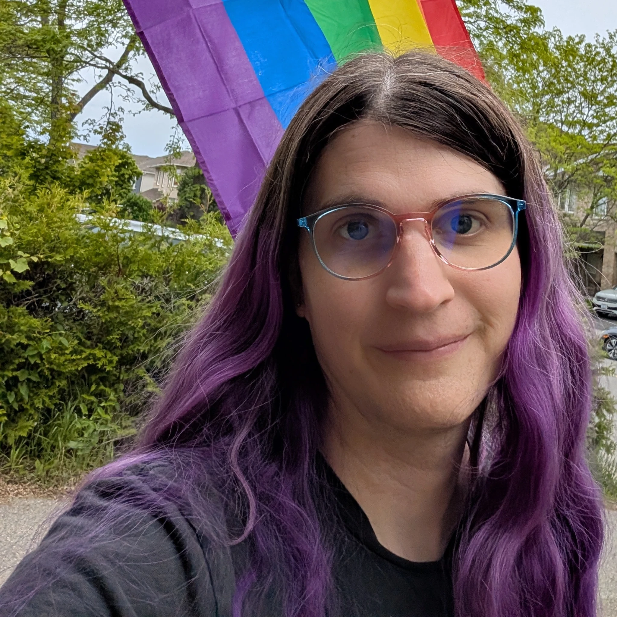 PurpleStephyr@thetransagenda.gay