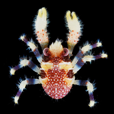naturalist_bot@hachyderm.io