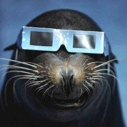 nobletrout@infosec.exchange