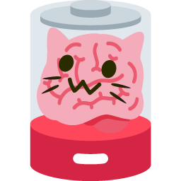 braincat_server braincat_server