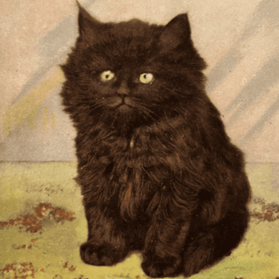 CatsOfYore@mastodon.social