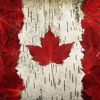 MeanwhileinCanada@ohai.social