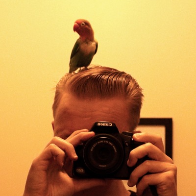 Rollo@mastodon.social