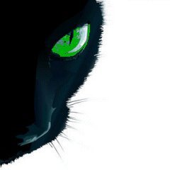 shoq@mastodon.social