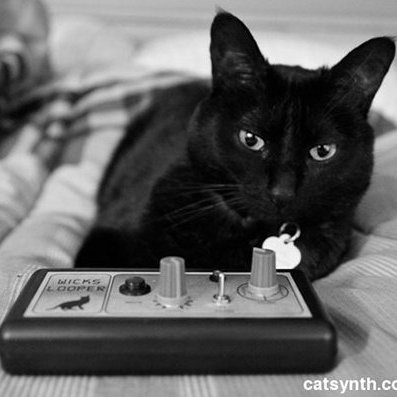 catsynth@mstdn.social