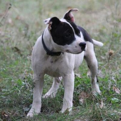 gled@ap.remote-shell.net