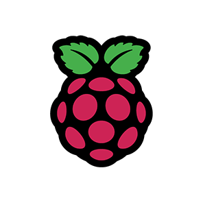 raspberry_pi@bird.makeup