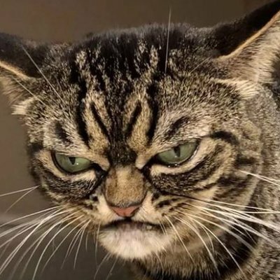 t_pageflt@infosec.exchange