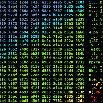 ronin3510@infosec.exchange
