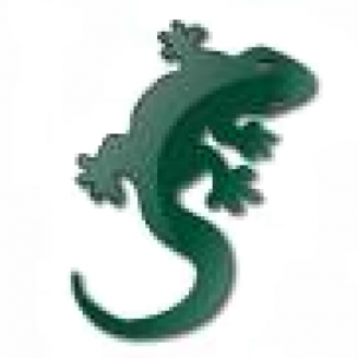 lizardbill@hachyderm.io